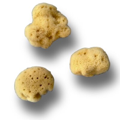 Bocconcini Strucco spugna Mare Fine Dama Sbiancata 6/8 cm